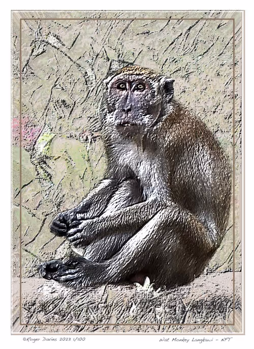 Item #113829610119937179277145653237989536661159515398728099625049874706244567040001 Media