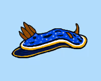 Nudibit #1
