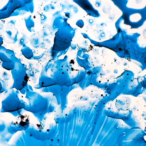 9251341193756129610411101804839683921415719585297066577807806961208751292417