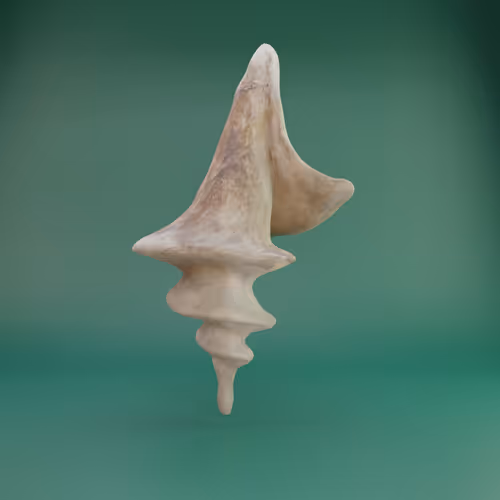 Item #50347461406855560743707191033416785793989350971732152150747908150538425860097 Media