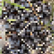 2850415134272365380187775685678842410458265265709128331682257504076746981377
