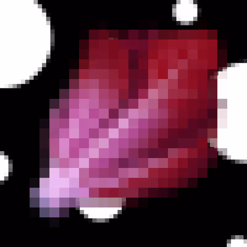 Item #45402188041161711857602650062681477606660445235074565517026972928617564078081 Media
