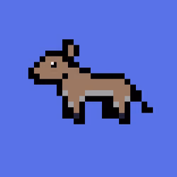 Donkey