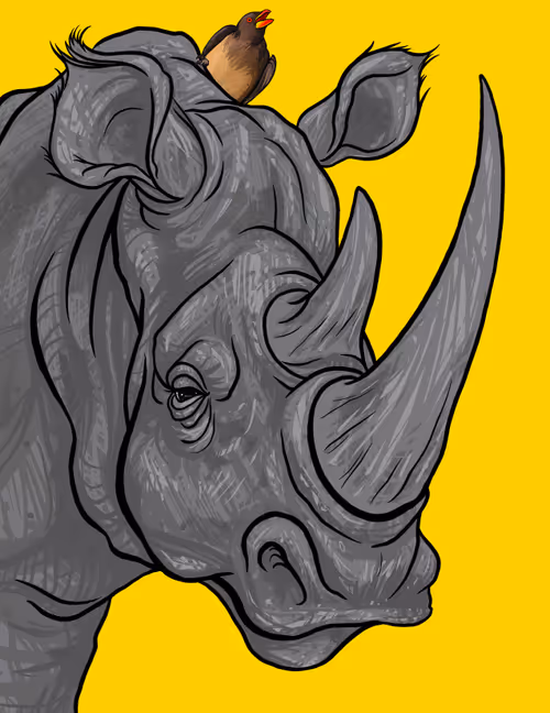 Item #60342236005163987948556802886235213316063293567500632170058184718047504236545 Media