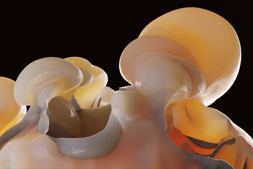 Item #87858548873057691610145785827924316116903784724900626045837508992611100131329 Media