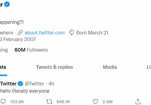 Untitled Collection #9403773