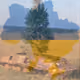101912728425678026792995053934788812781792818832851100459453380345005873299457