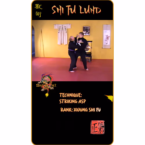 46812503073849428639084932571269419557595880976783390124449439617316282171393