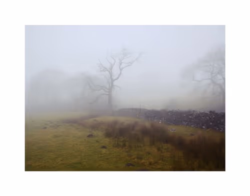 Item #96661707284894299444635219906598425654694917167299737376541026834092606357526 Media