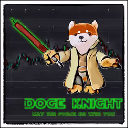 DOGE Knight