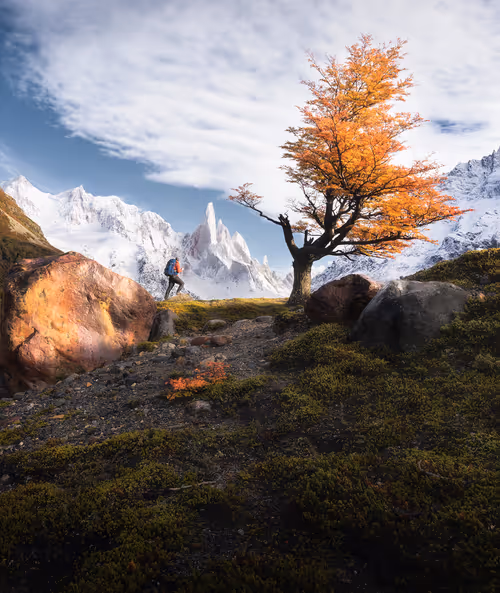 Item #60746909872543213289869712482342810362597473671011955099413296357727881134081 Media