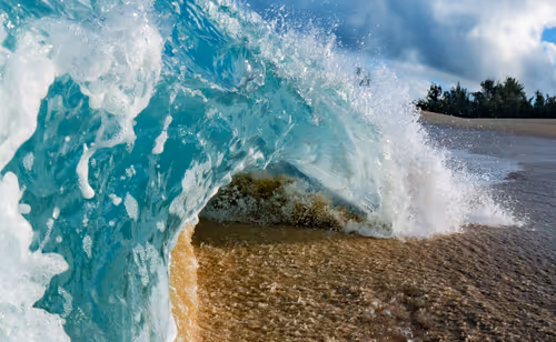 Item #19717472655541438358875111876949792254809295352552867053113992282243801808897 Media