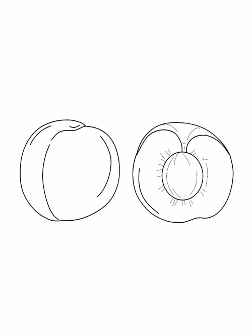 Item #88586504170275738881642373300592236200756239934994765531384634097451256512513 Media