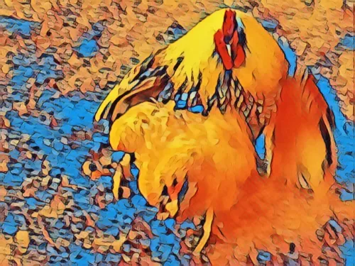 Item #6822172971026890418880562505450227759252596580722353794181564461317399511041 Media