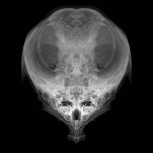 Alien Embryo - 331 of 2000