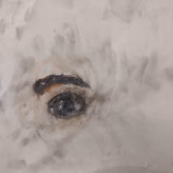 " WHERE AM EYE "