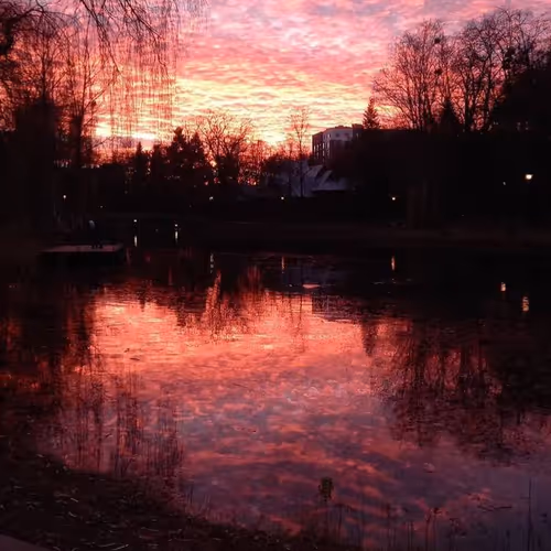 Rippyslake