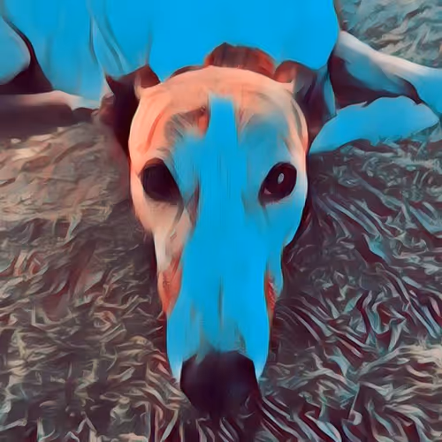 113233535435930126246803406212525192330824104616936385021501681222103246831617