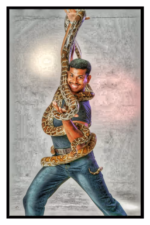 Item #44893761589081647640796247362324493883362712989984067389455319891707114291201 Media