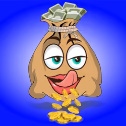 Money Bag #168