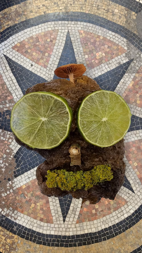 Item #100909502448086356706660368779487088653809768188601857193380374324967257407489 Media