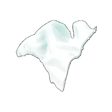 Item #38302191946042789311950467302305104661066998081919386922972218034877164945507 Media