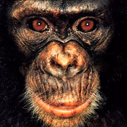 109162157552346088047496633038404394118504199992061596446112929710683291910145