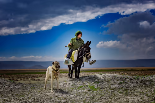 Item #103012301657456598627464593711191492996341926608798375780323323134009688457217 Media