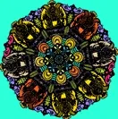 Flower World - Spin-001