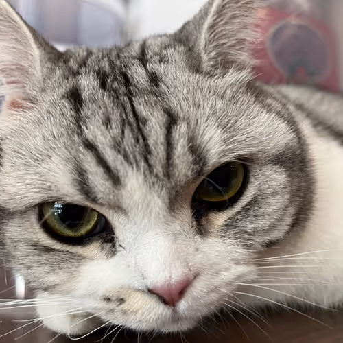 Untitled Collection #23143986