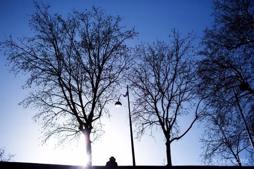 Item #111326101478107214990251795731047965840392207690526379209547236998279830962177 Media