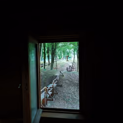 Window