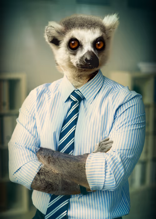 Item #36836811362522670824259516961817306371595381663714079495581083199195068760065 Media