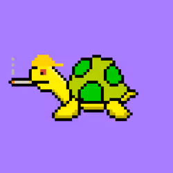 Tiny Turtle #1105