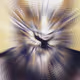 80036475382171694467730766481060050485311576317862496427140634060557643677697
