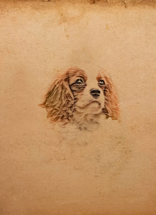 Item #63938683334380912477580122543406405078014333284913913577190088016160886882305 Media