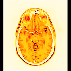 64162533542198579898252916190583583845604629893829087458582976396703389712385