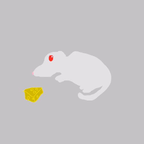 Ratku #18