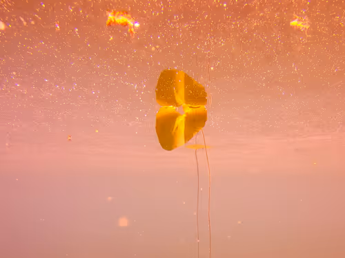 Item #115430421716330114127925714386191036467996783471008022249532804580337141153793 Media