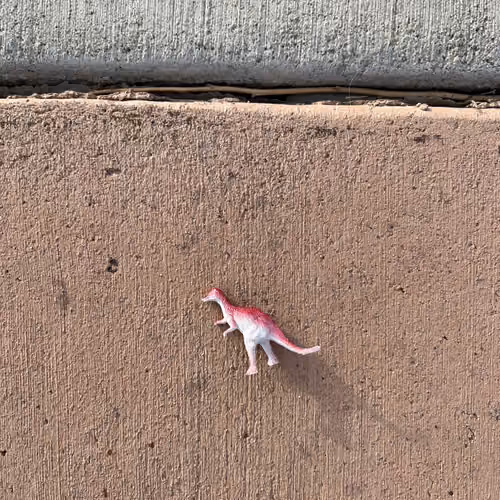 Kevin's Fren