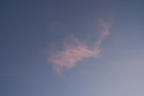 Item #90774225288665934587059440607395311701717167789030484580302433043270147768321 Media