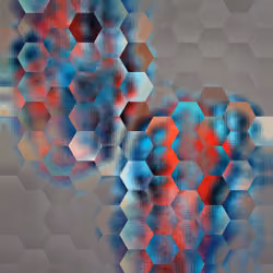 Octagon art 31