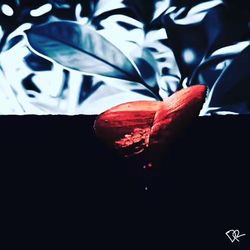 Item #80889516557341794460889948570538965909381334430356689964884201548672799866900 Media