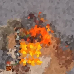 Quest