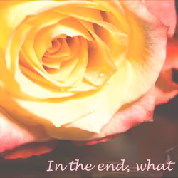 Death Rose
