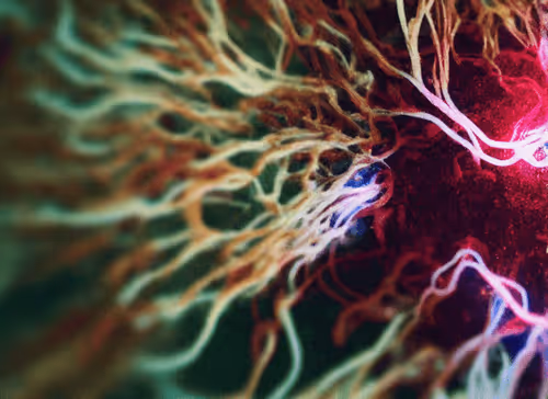 Item #98695163844141812296559601516468632585703412525772017875852753114227833569281 Media