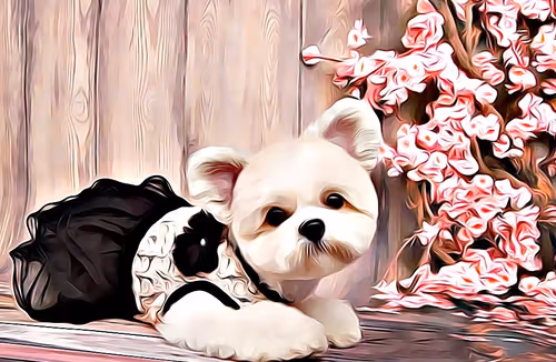 Item #21607923784025543658024067331009769919395041958272689574271021145250645147649 Media