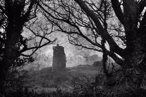 Item #40160686583094733528677484039903516258611509642019211679321071491355049459713 Media