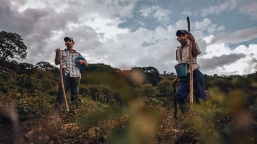 Item #38640678418960091879167073134620808059318826379912893500964934322860505169921 Media