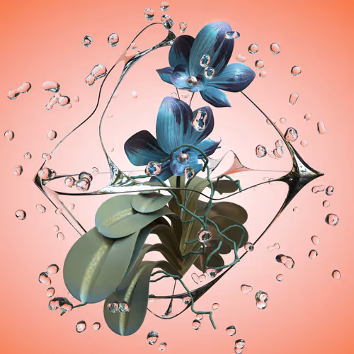 Trapped Plants